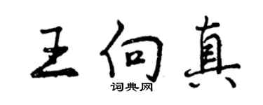 曾庆福王向真行书个性签名怎么写