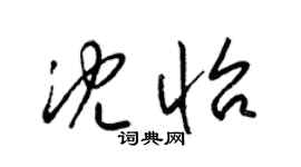 梁锦英沈怡草书个性签名怎么写