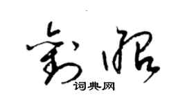 梁锦英刘昭草书个性签名怎么写