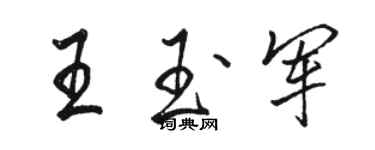 骆恒光王玉军行书个性签名怎么写