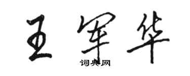 骆恒光王军华行书个性签名怎么写