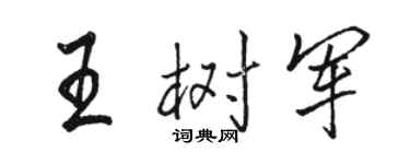 骆恒光王树军行书个性签名怎么写