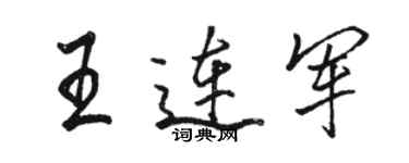 骆恒光王连军行书个性签名怎么写