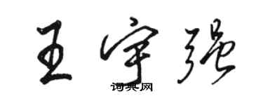 骆恒光王宇强行书个性签名怎么写