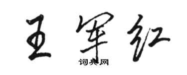 骆恒光王军红行书个性签名怎么写