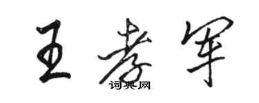 骆恒光王孝军行书个性签名怎么写