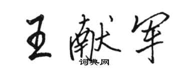 骆恒光王献军行书个性签名怎么写
