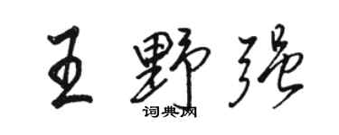 骆恒光王野强行书个性签名怎么写