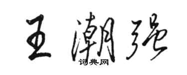 骆恒光王潮强行书个性签名怎么写