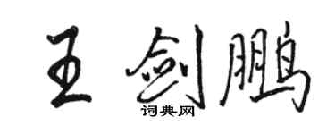 骆恒光王剑鹏行书个性签名怎么写