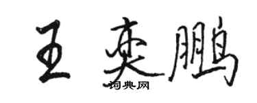 骆恒光王奕鹏行书个性签名怎么写