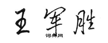骆恒光王军胜行书个性签名怎么写