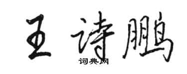 骆恒光王诗鹏行书个性签名怎么写