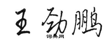骆恒光王劲鹏行书个性签名怎么写