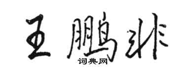骆恒光王鹏非行书个性签名怎么写