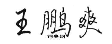 骆恒光王鹏爽行书个性签名怎么写