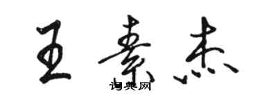 骆恒光王素杰行书个性签名怎么写