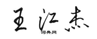 骆恒光王江杰行书个性签名怎么写