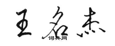 骆恒光王名杰行书个性签名怎么写