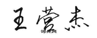 骆恒光王营杰行书个性签名怎么写