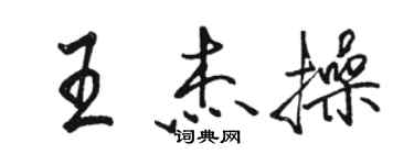 骆恒光王杰操行书个性签名怎么写