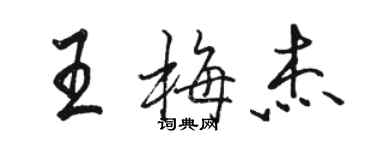 骆恒光王梅杰行书个性签名怎么写