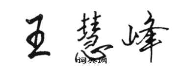 骆恒光王慧峰行书个性签名怎么写