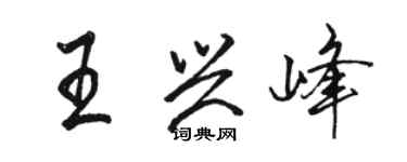 骆恒光王兴峰行书个性签名怎么写