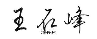 骆恒光王石峰行书个性签名怎么写