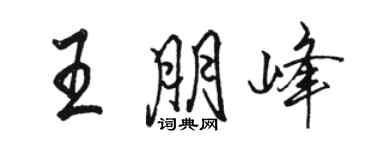骆恒光王朋峰行书个性签名怎么写