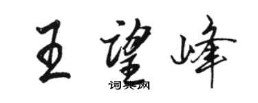 骆恒光王望峰行书个性签名怎么写