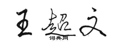 骆恒光王超文行书个性签名怎么写