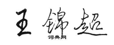 骆恒光王锦超行书个性签名怎么写