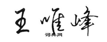 骆恒光王唯峰行书个性签名怎么写