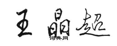 骆恒光王晶超行书个性签名怎么写