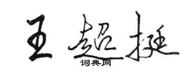 骆恒光王超挺行书个性签名怎么写