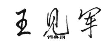 骆恒光王见军行书个性签名怎么写