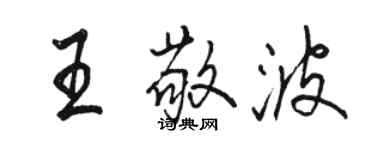 骆恒光王敬波行书个性签名怎么写