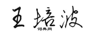 骆恒光王培波行书个性签名怎么写