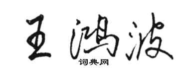 骆恒光王鸿波行书个性签名怎么写