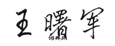 骆恒光王曙军行书个性签名怎么写
