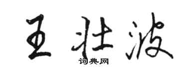 骆恒光王壮波行书个性签名怎么写
