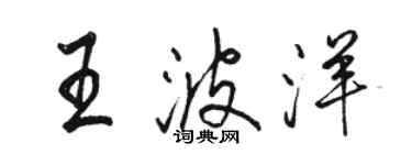 骆恒光王波洋行书个性签名怎么写