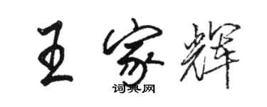 骆恒光王家辉行书个性签名怎么写