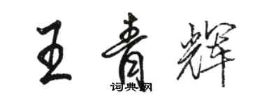 骆恒光王青辉行书个性签名怎么写