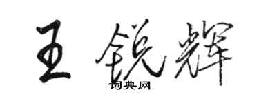 骆恒光王锐辉行书个性签名怎么写