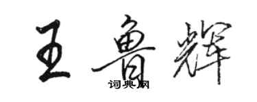 骆恒光王鲁辉行书个性签名怎么写