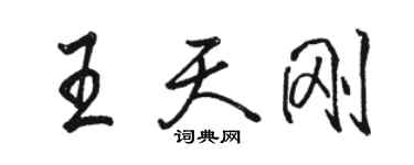 骆恒光王天刚行书个性签名怎么写