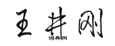 骆恒光王井刚行书个性签名怎么写
