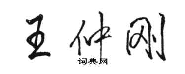 骆恒光王仲刚行书个性签名怎么写